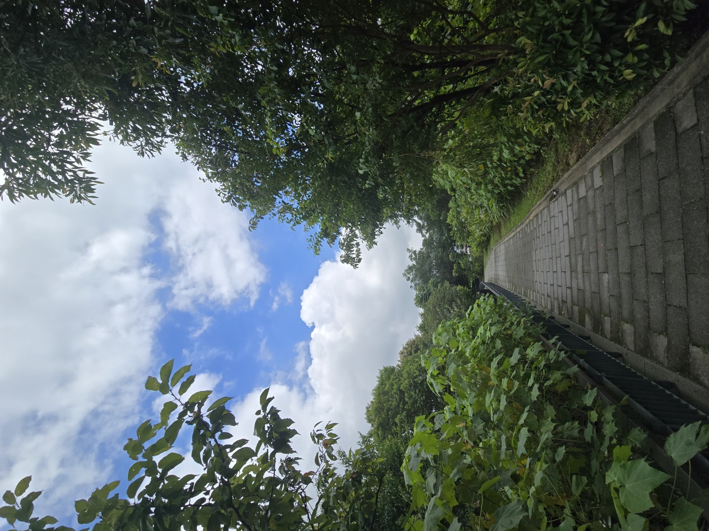 進入園區走道之一